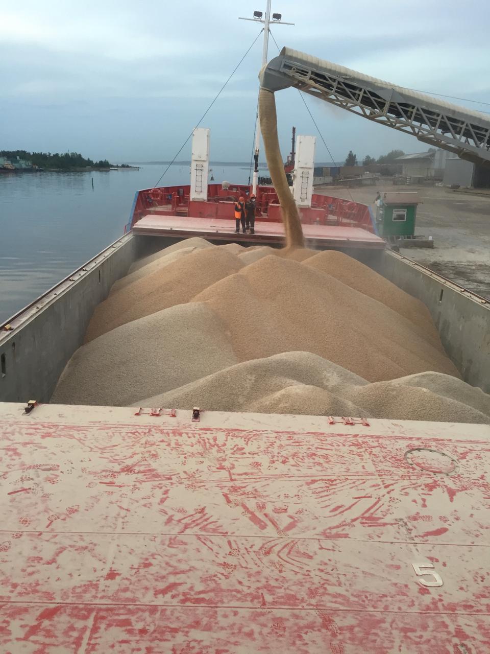 Bulk pellets loaded into ship hold