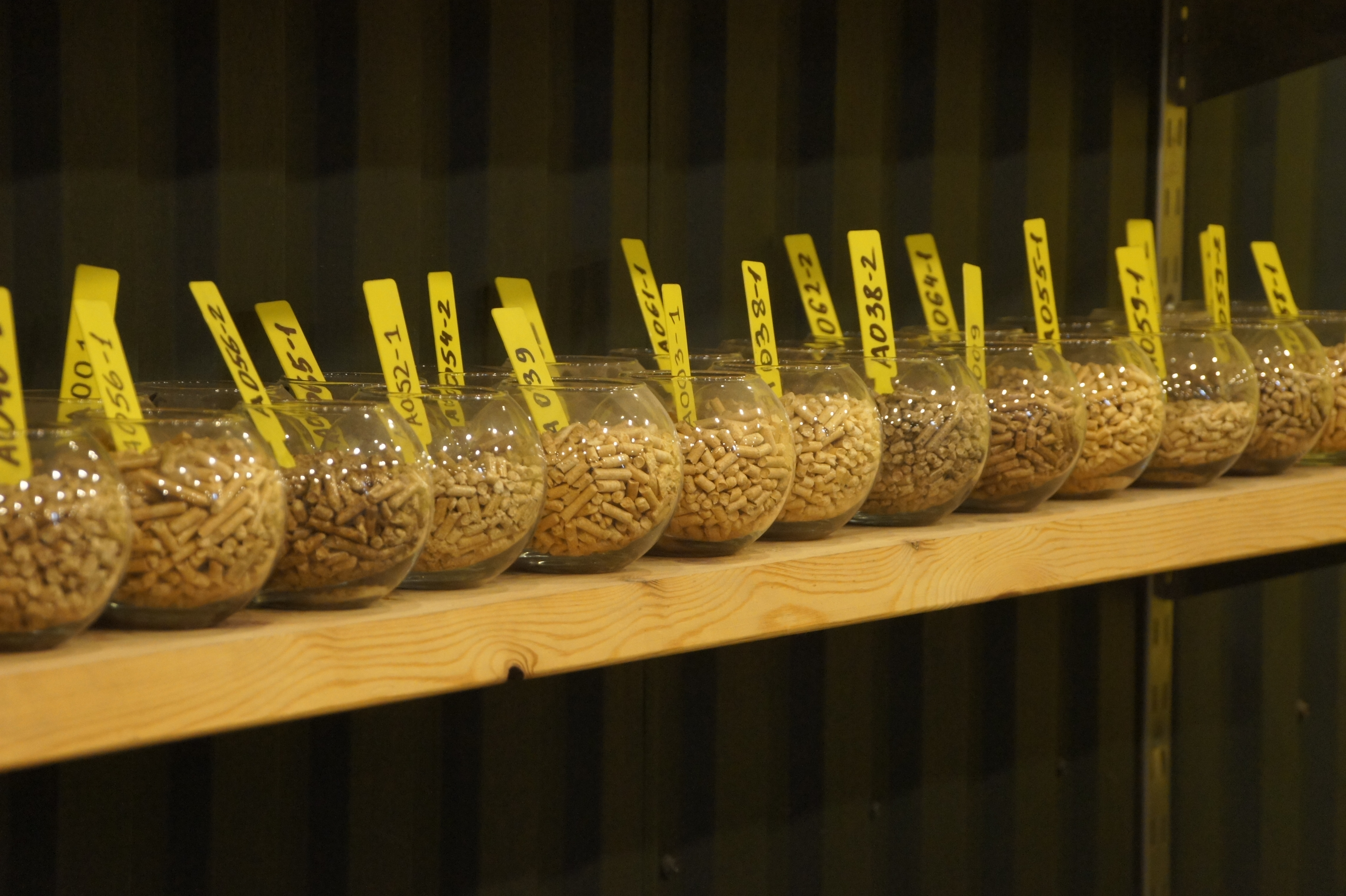 Wood pellet laboratory samples in glass bowls